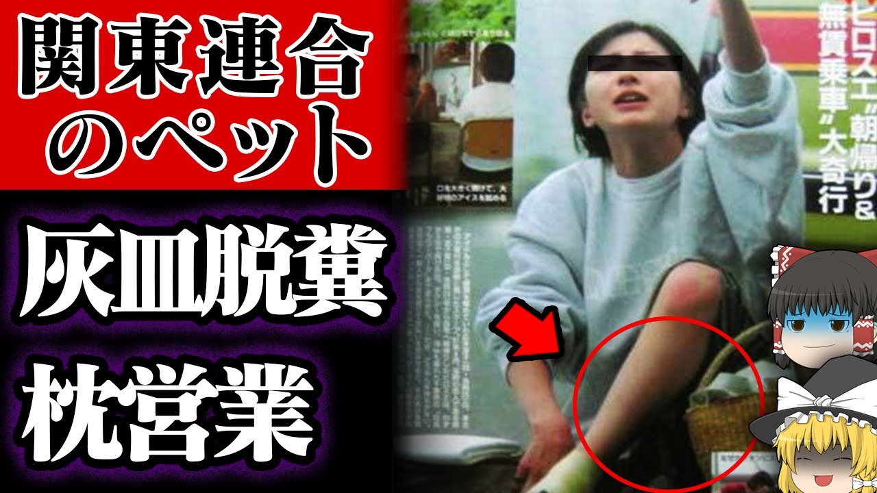 【ゆっくり解説】意外すぎる裏の顔を持った芸能人5選【闇】