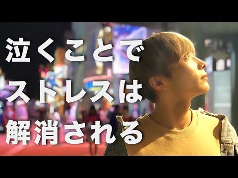 【必ず泣く】見ないで死んだら後悔する
