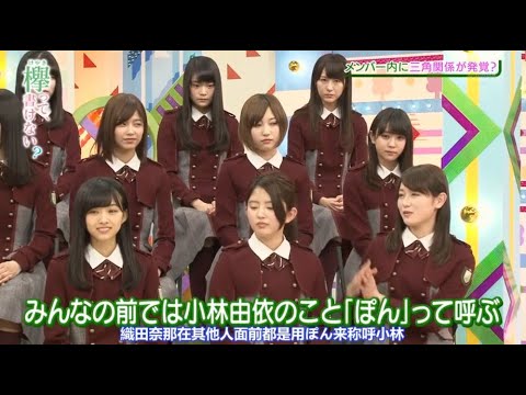 【けやき坂】 そこ曲がったら、櫻坂?【欅って、書けない】 欅坂46 メンバーブログチェック