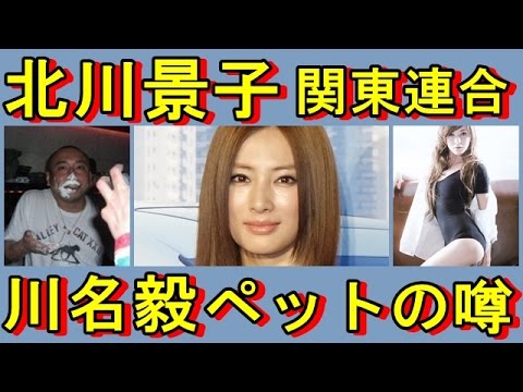 北川景子】関東連合ペットとは?川名毅が藤井リナと差し出した噂