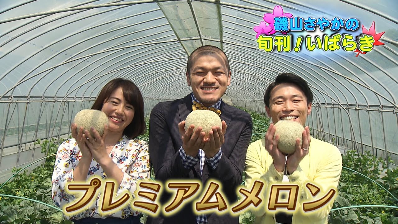 磯山さやかの旬刊!いばらき『茨城のメロン』(平成29年5月19日放送)WEB限定ver