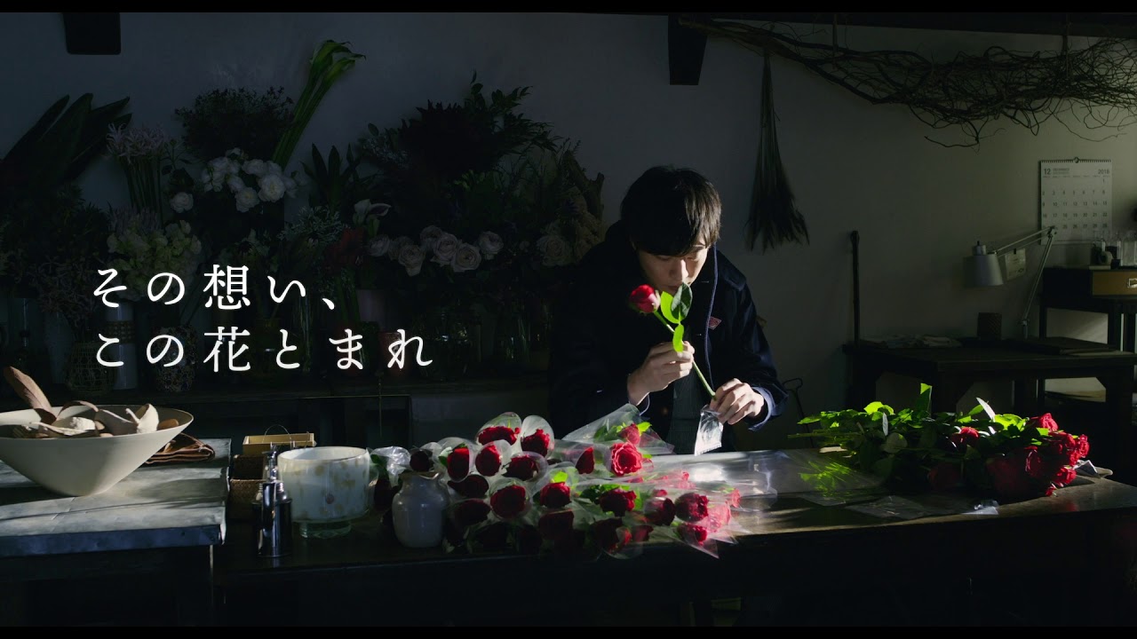 映画『mellow』(メロウ)特報