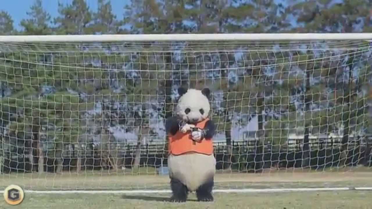 有村架純 cm フロムエー編