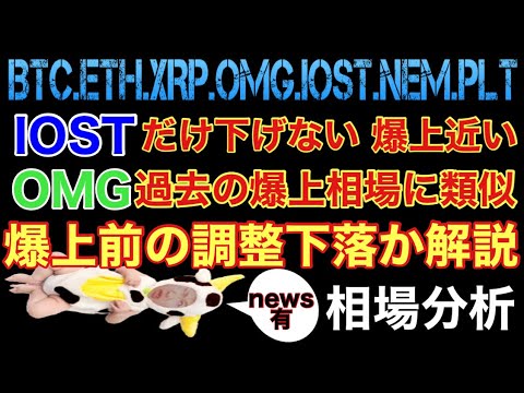 【相場分析】IOSTとOMG爆上まじか!主要通貨爆上まえの調整か解説ビットコインイーサリアムリップルネムパレットOMG.BTC.ETH.XRP.XEM.NEM.PLT