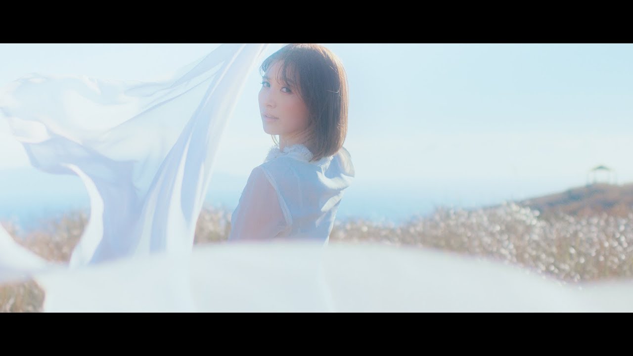 蒼天のハリー「Memories」MV (『特命係長 只野仁 AbemaTVオリジナル2』主題歌)