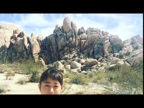 Mitsuki Takahata 高畑充希 Cute Moments 4