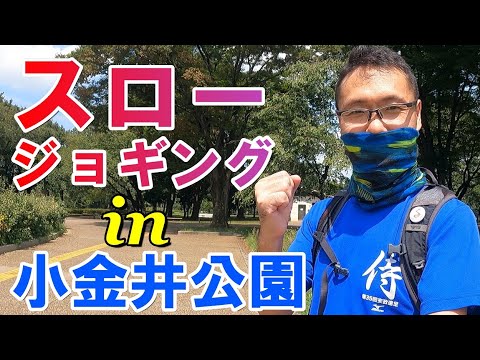 【東京都都立小金井公園】園路を利用してランニングコースを自由にカスタマイズ出来る公園!【レッツ スロージョギング Vol.9】