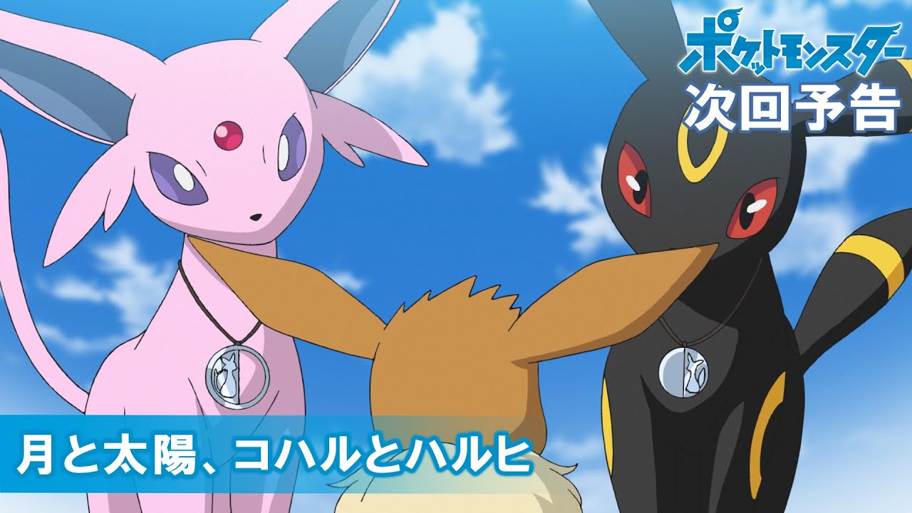 公式 アニメ ポケットモンスター 9月3日 金 放送分予告 月と太陽 コハルとハルヒ Yayafa