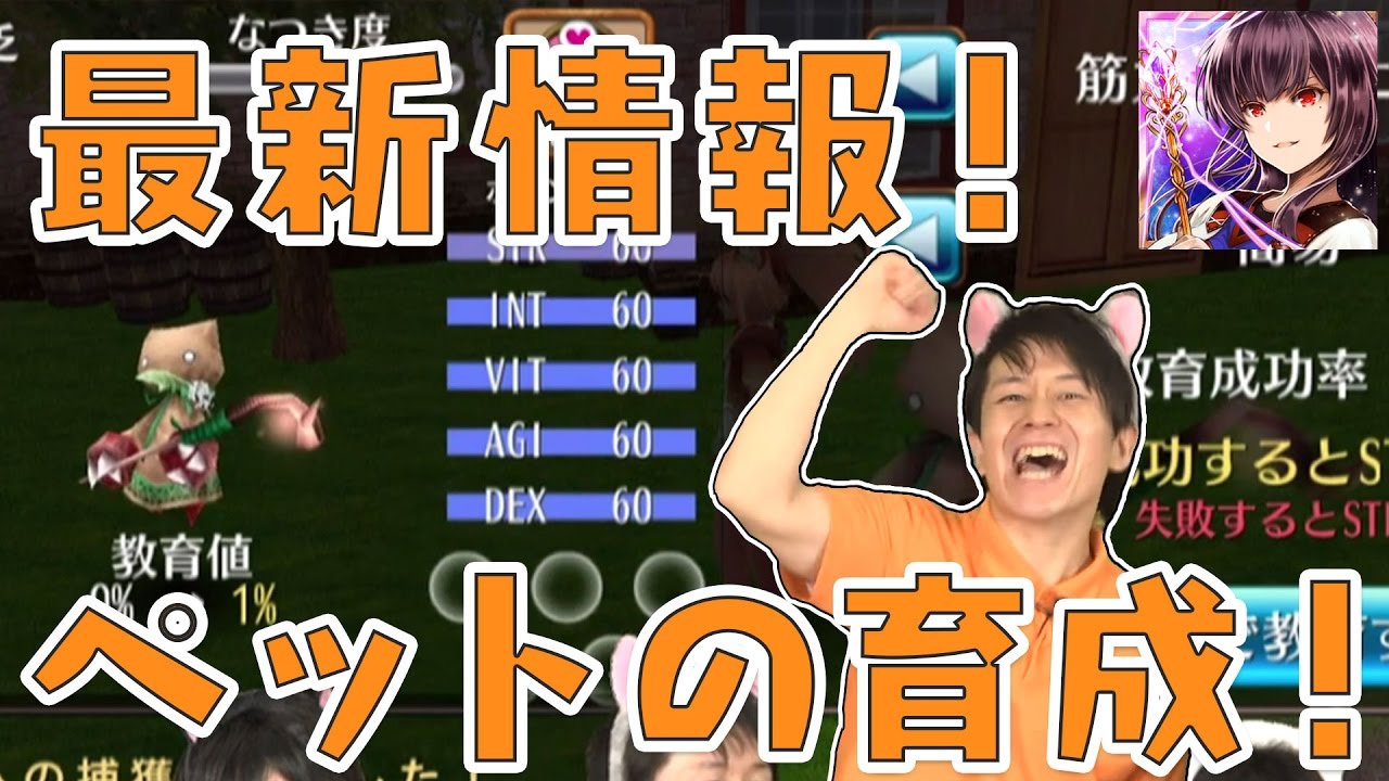 【Live】トーラム|ペット最新情報!初公開の育成方法をゲーム画面で紹介! #118