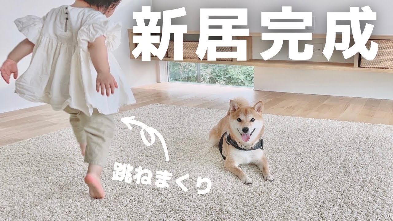【完成】新居に愛犬と娘をはじめて連れて行ってみた