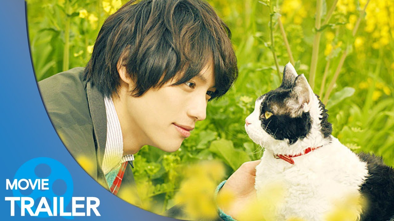 【予告編#2】旅猫リポート (2018) – 福士蒼汰,高畑充希,広瀬アリス