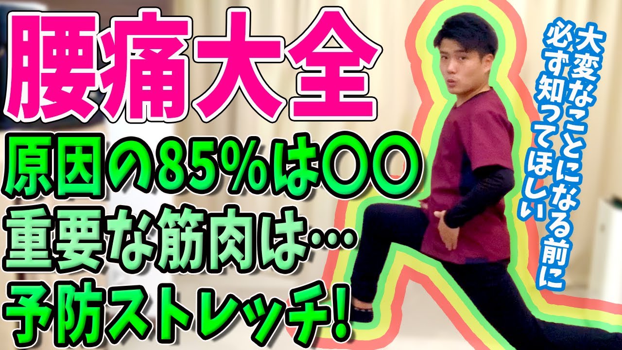 【腰痛 ストレッチ】やまちゃん先生が腰痛の原因や重要な筋肉を解説!簡単予防ストレッチも伝授します!