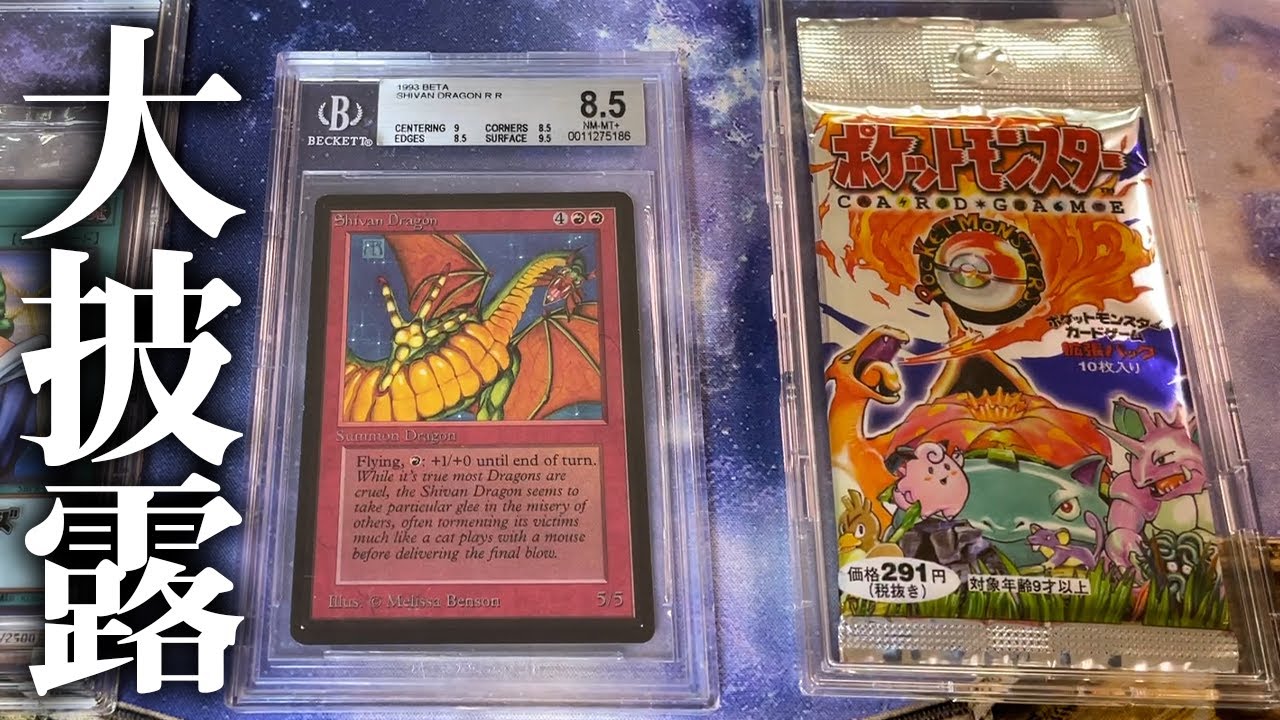 【奇想天外】1年で1000万円!? 初心者社長のコレクションがヤバすぎた…【ポケカ/MTG】TCG Big Collection Show