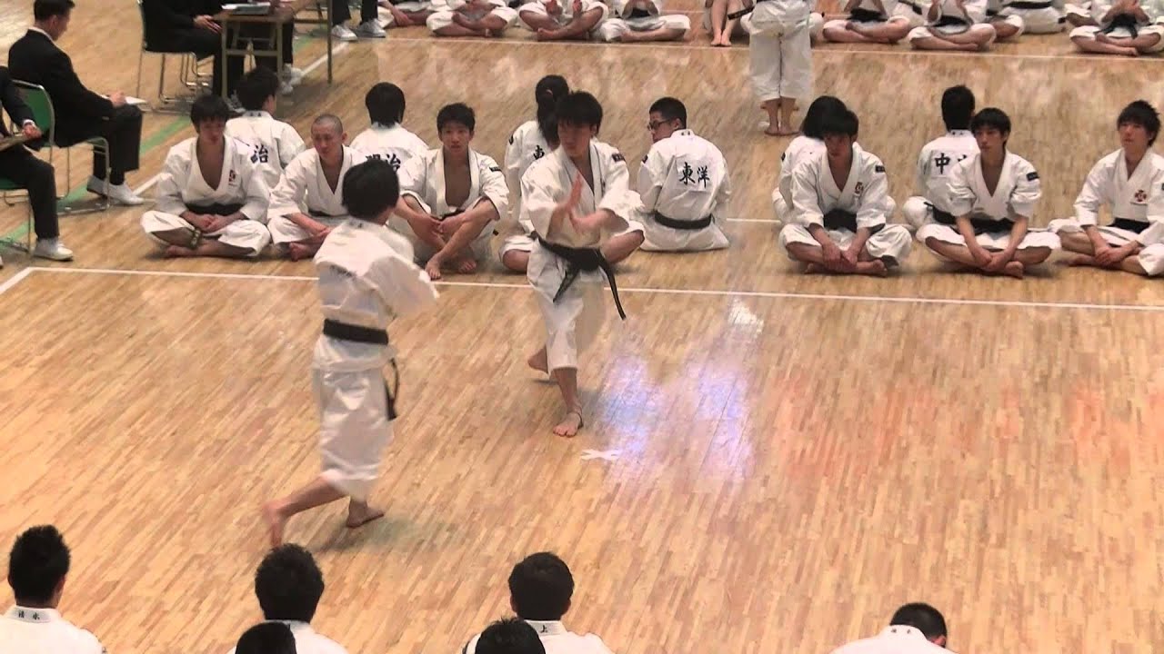 2013関東 男子二段以上 早稲田 林・山本(裕)