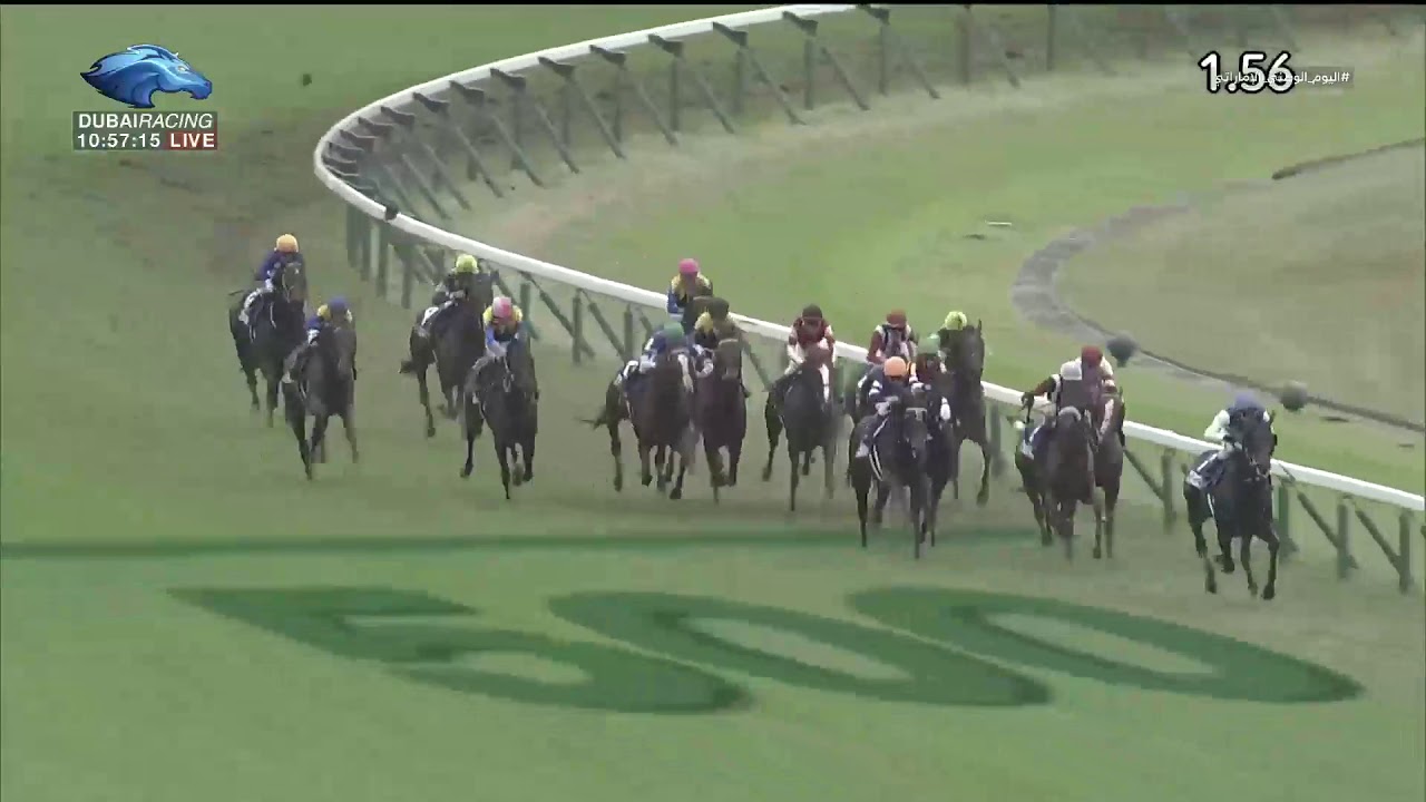 2019.11.24 Japan Cup – Suave Richard