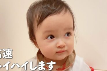 おちびーぬ Yayafa おちびーぬ Yayafa