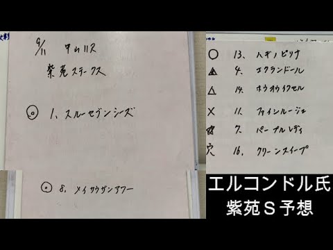 エルコンドル氏の紫苑ステークス21予想 秋華賞に向けて3つの椅子をかけた激しい戦いはどんな結末になるのか プロ馬券師集団 桜花 Yayafa