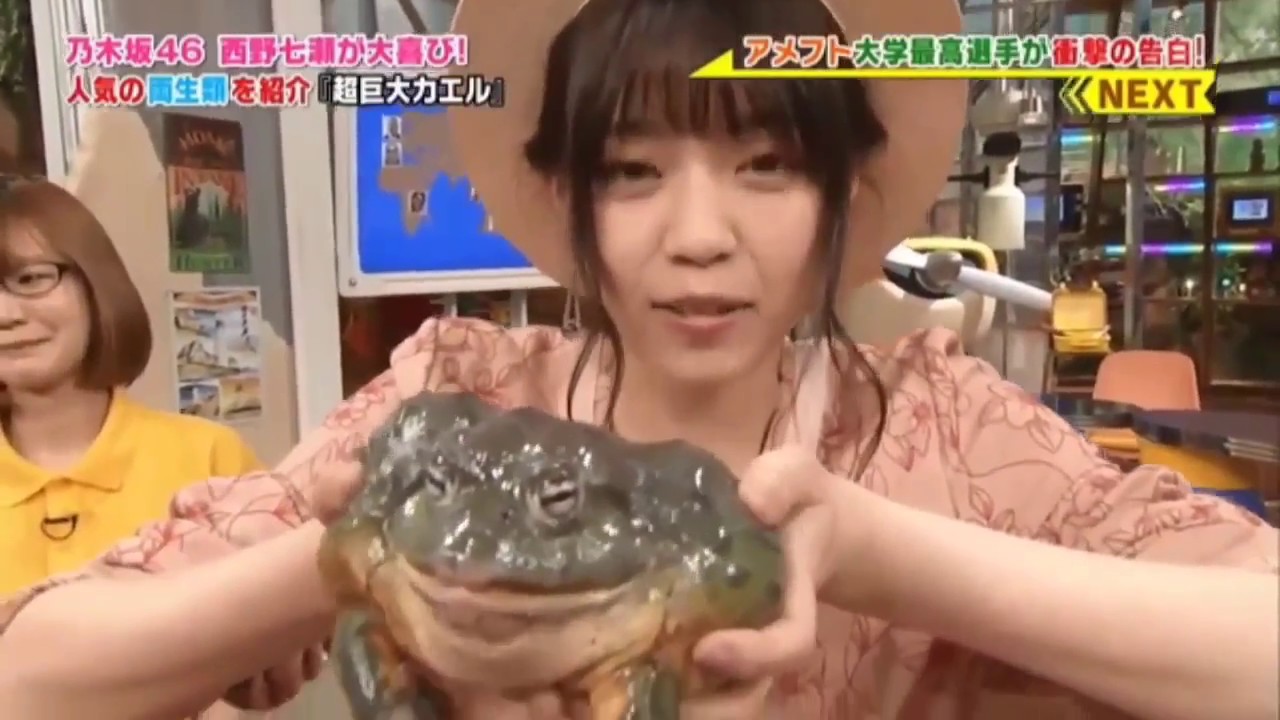 【乃木坂46】西野七瀬はカエルが大好き♡【なぁちゃん】
