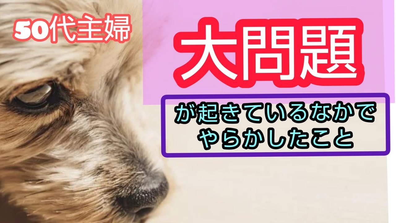 大問題が起きているなかでやらかしたこと50代主婦