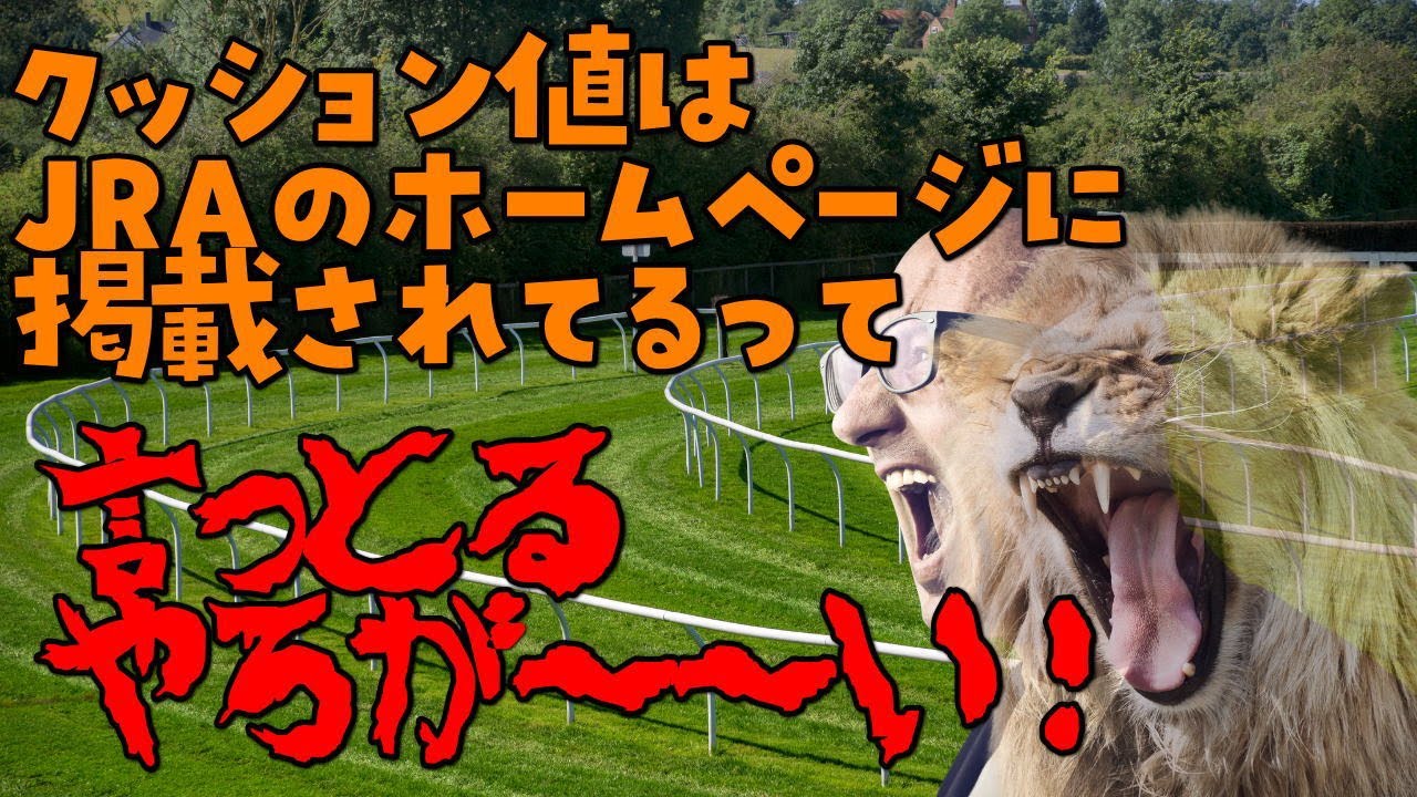 競馬予想に重要なクッション値の確認場所と過去データの確認場所について