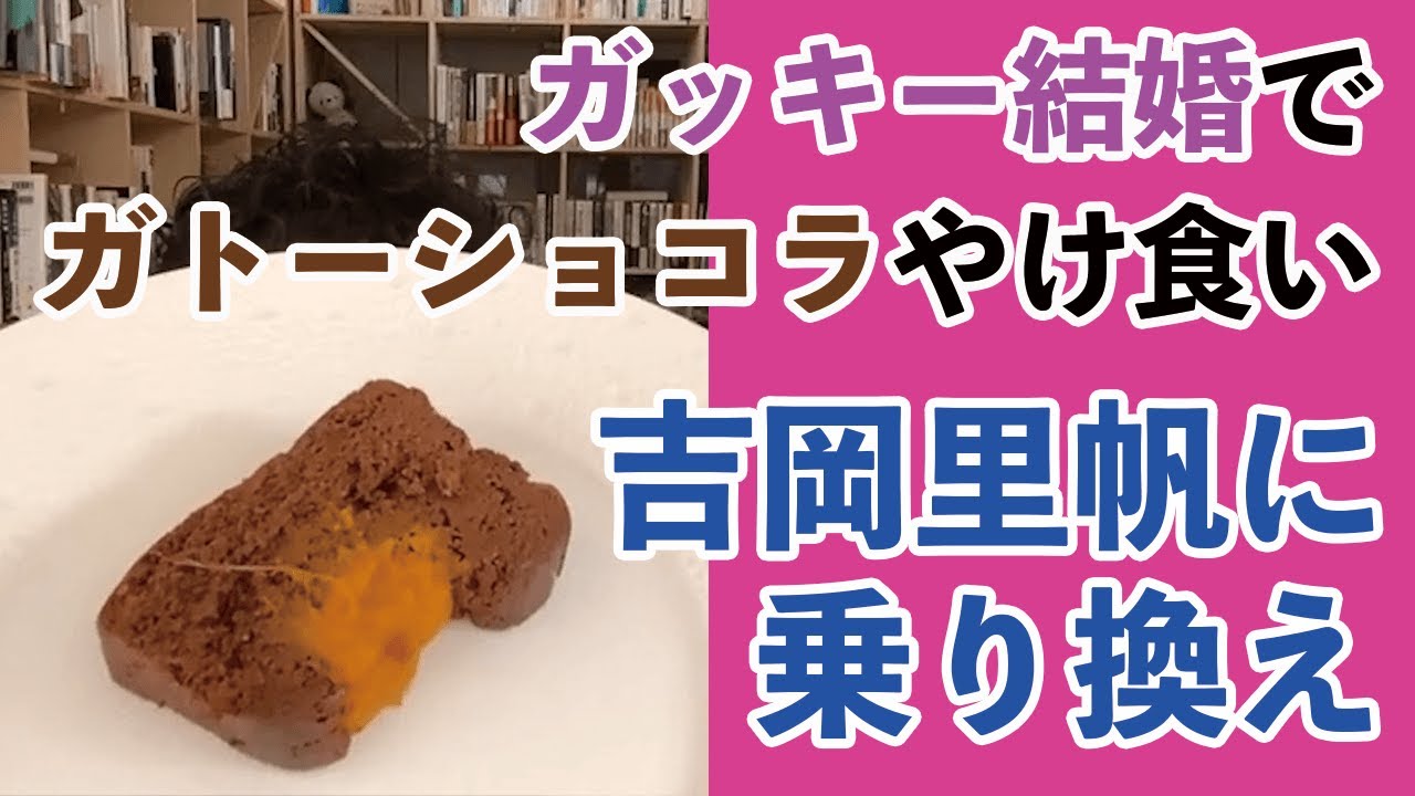ガッキーから吉岡里帆へ乗り換え「ガッキー結婚で傷心のあまり食べ過ぎたマンゴーガトーショコラ」【メンタリストDaiGo】