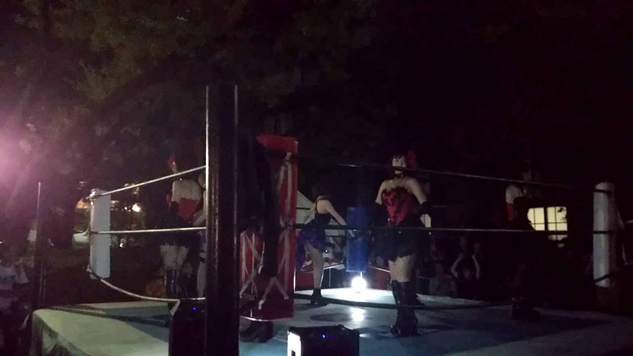 【恵比寿マスカッツ】Twenty-Nine 慶応義塾大学三田祭ライブ(広角) 2019/11/24