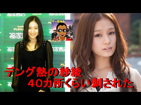 まあちゃん デング熱の紗綾「40カ所くらい刺された」 x264
