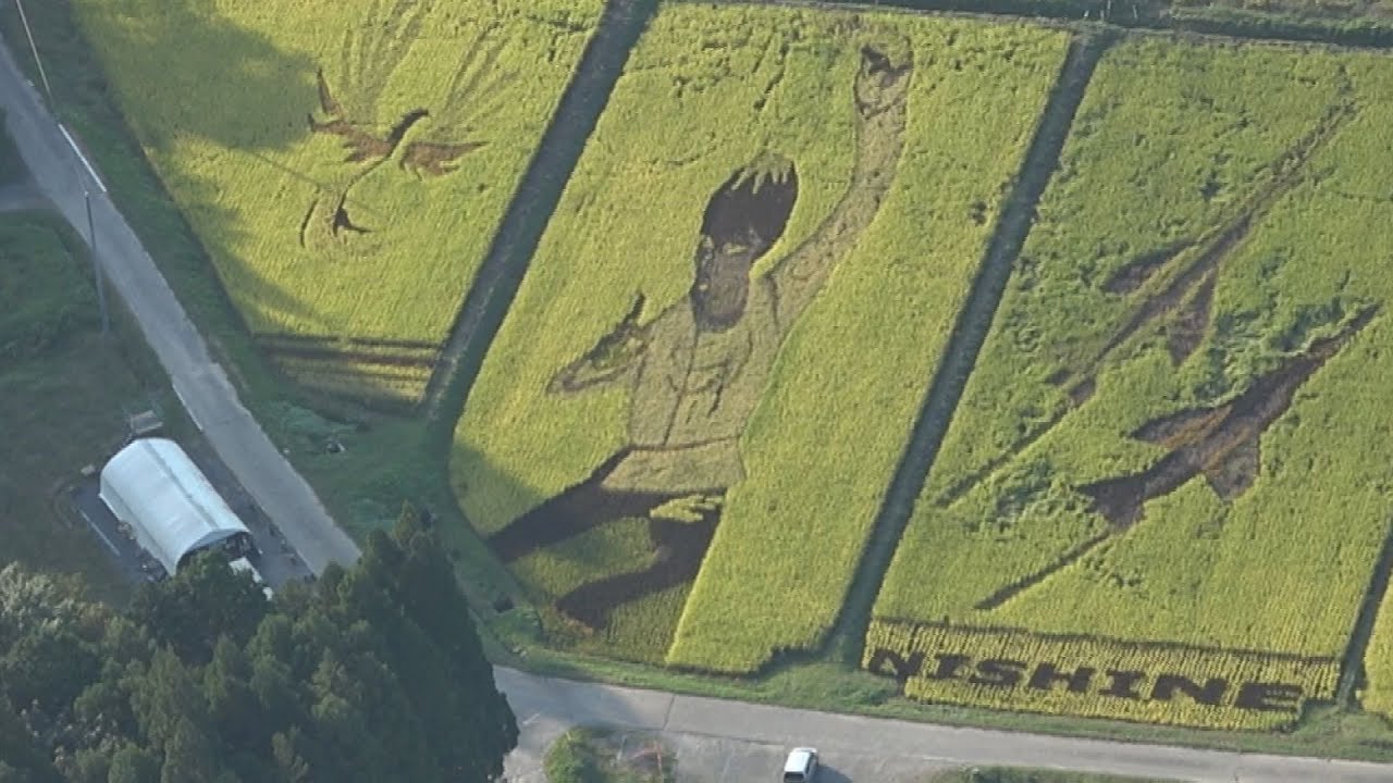 北京五輪でも「金」を 羽生選手、田んぼアート