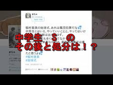 稲村亜美さん襲撃事件 その後の反響と 処分は!?
