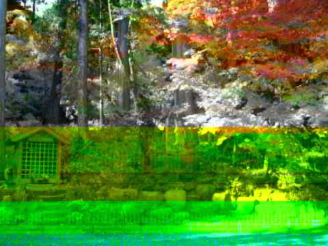 20121109 仲仙寺 紅葉