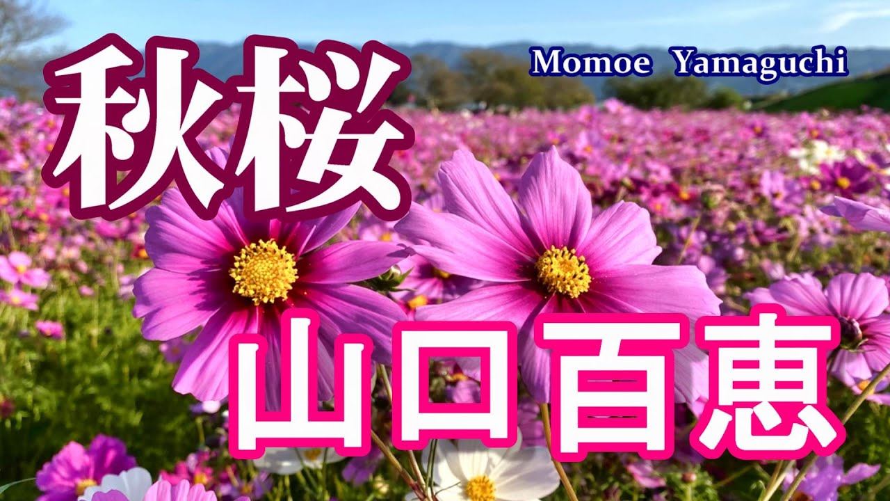 山口百恵・秋桜(コスモス) 歌詞付き!【4K】高音質CD音源