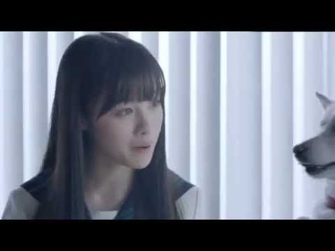 橋本環奈(はしもとかんな),松坂慶子(まつざかけいこ)、風間杜夫(かざまもりお)出演CM ソフトバンク CM 白戸家「鑑定結果」篇