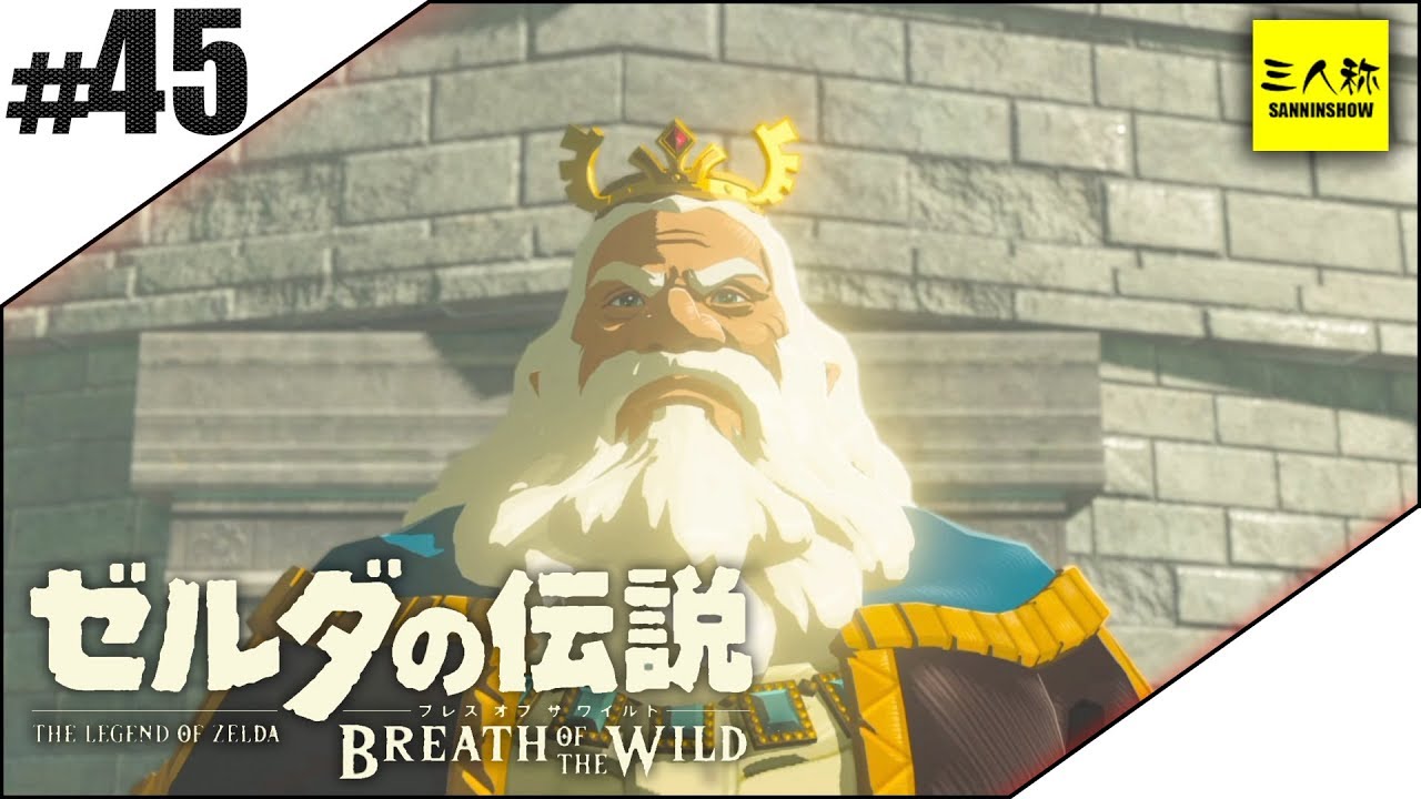 #45【三人称】ドンピシャとゼルダの伝説 ブレス オブ ザ ワイルド【Switch版】