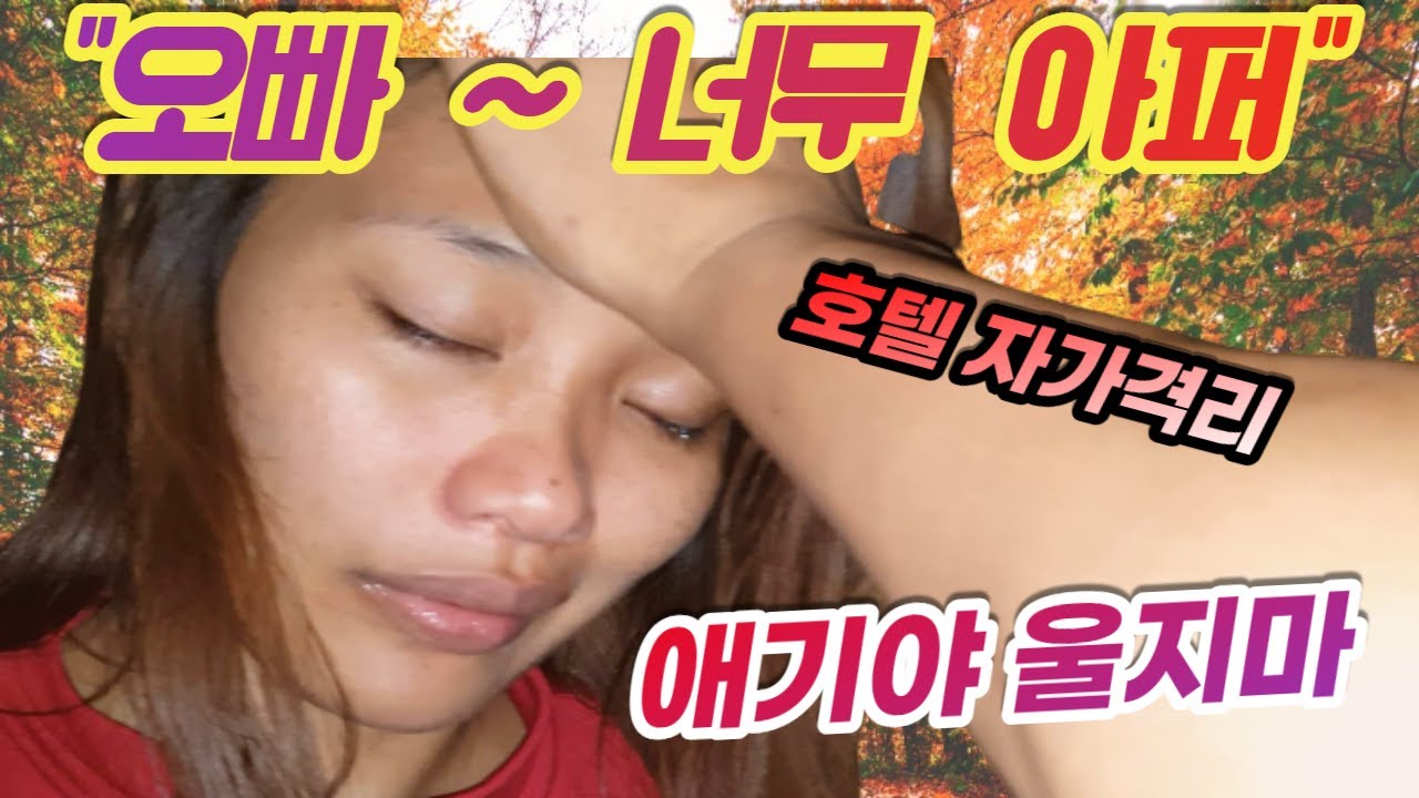 필리핀 코로나증세로 호텔에서 자가격리 중인 한필 가족ㅣ필리핀 실화 주인에게 은혜 갚은 고양이-필리핀국제 한필커플