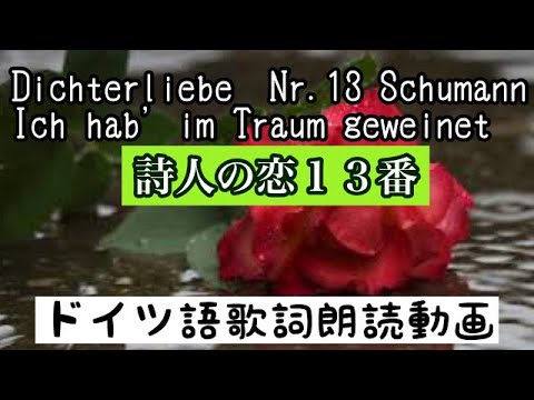 【朗読】詩人の恋 13番 シューマン Dichterliebe Nr.13 Schumann Ich hab' im Traum geweinet