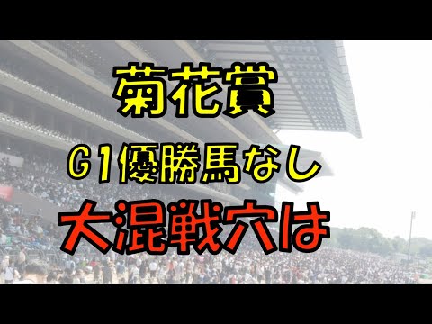 2021年 菊花賞予想【混戦菊花賞 ダービー馬、皐月賞馬なしで面白そうな馬は】
