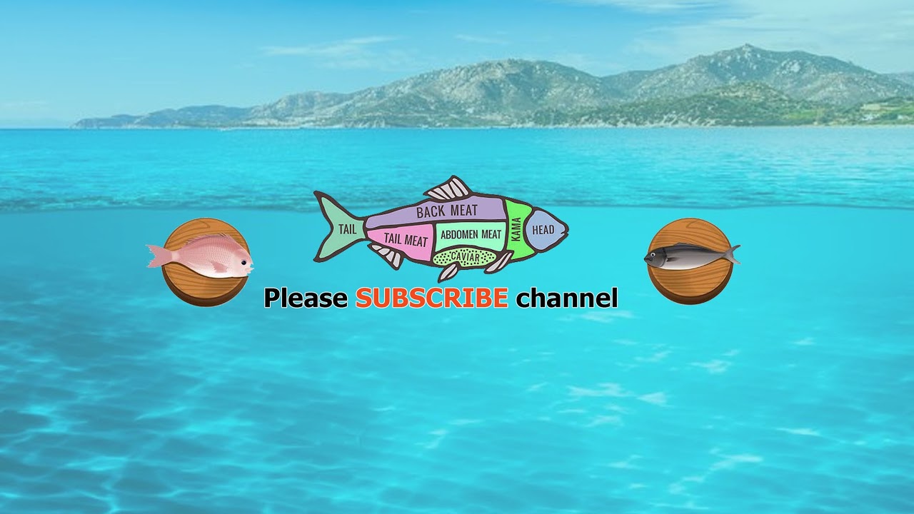 金村美玖・渡邉美穂(日向坂46) 突破ファイル 2021年10月28日 FULL SHOW