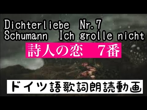 【朗読】詩人の恋 7番 シューマン Dichterliebe Nr.7 Schumann Ich grolle nicht