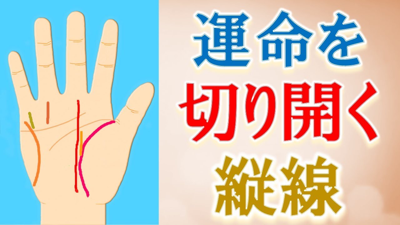 【手相 占い】運命を開拓する縦線手相の使い方4選&人相!水森太陽が教えます!