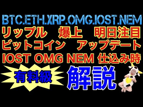 【相場分析】リップル明日スウェル‼️ビットコインアップデート‼️アルト仕込み時解説‼️イーサリアムネムIOST.OMG.BTC.ETH.XRP.XEM.NEM