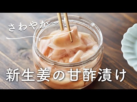 【さわやか〜!常備したい!】新生姜甘酢漬けのレシピ・作り方