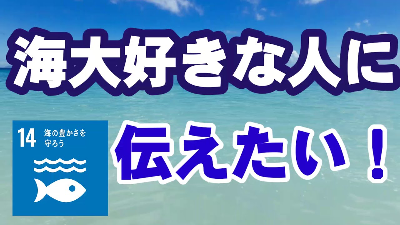 【誰でもできるSDGs】海が大好きすぎる人にぜひ見てほしい映画がある!「プラスチックの海」みんなで海を守ろう!