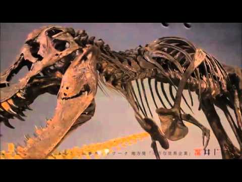 【ふるさとプレミアム】福井県PR動画 剛力彩芽主演 福井移住PRドラマ