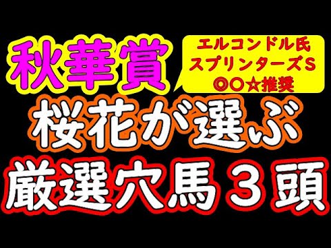 秋華賞2021桜花が選ぶ厳選穴馬3頭 ソダシが圧倒的人気を集める時こそ表裏一体大穴決着の可能性も潜んでいる!過去の秋華賞は大荒れ決着も多数ありレースの質としては荒れやすい!? プロ馬券師集団『桜花』