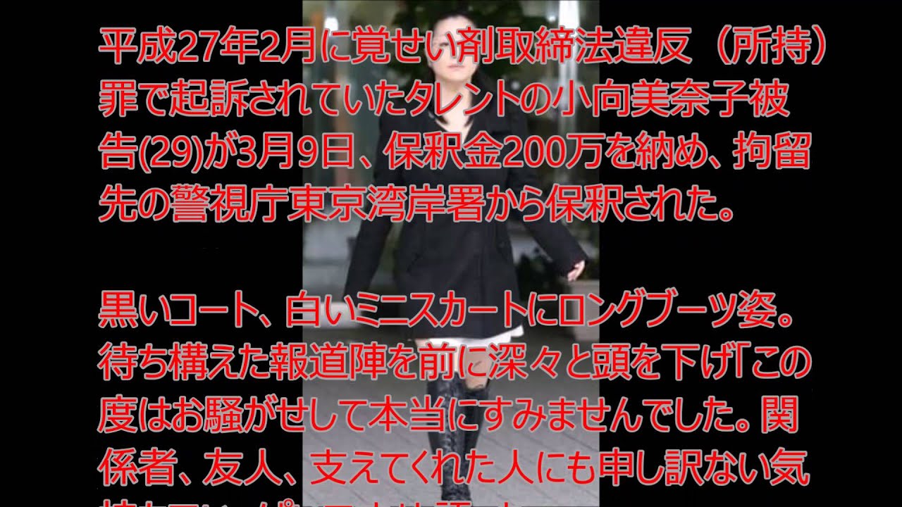 覚せい剤所持 小向美奈子 保釈!