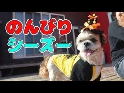 谷桃子、妄撮 for iPhone で遊ぶ