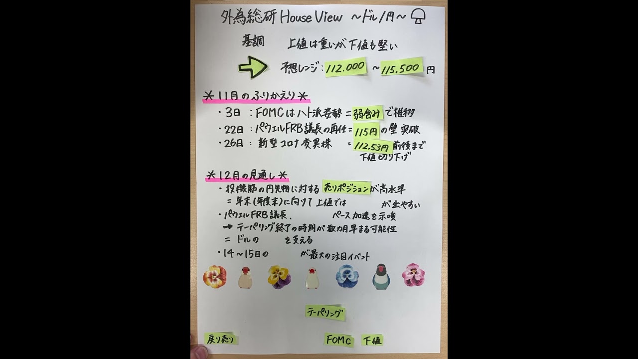 FX予想「コロナ変異株出現の影響は?」外為総研 House View ドル/円(動画版) 2021年12月