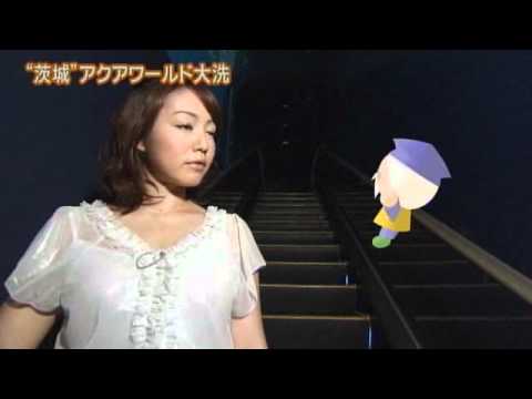 磯山さやかの旬刊!いばらき『アクアワールド大洗』(23年8月12日放送)