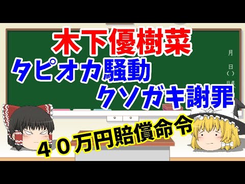 【ゆっくりニュース】木下優樹菜に40万円賠償命令 請求1000万円から大幅減額のウラに「クソガキ謝罪」