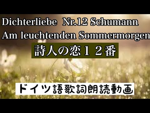 【朗読】詩人の恋 12番 シューマン Dichterliebe Nr.12 Schumann Am leuchtenden Sommermorgen